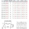 24-25  black and white football special edition animation jersey breathable short-sleeved jersey