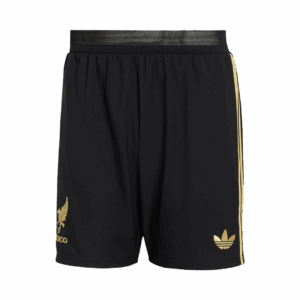 583984_13 Mexico サード アウェイ サッカーユニフォーム キット オーセンティック 2025 上下セット