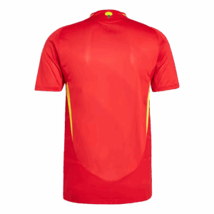 453667_2 Spain ホーム ユニフォーム オーセンティック EURO 2024